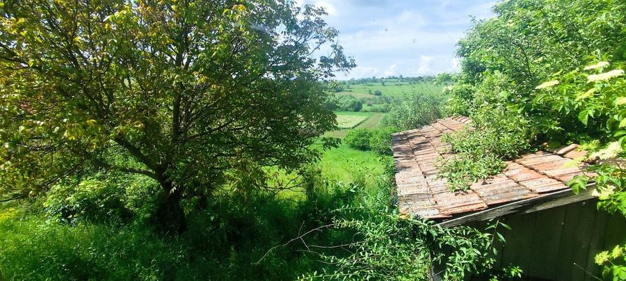 Casă cu 2 camere cu Teren 3500 Mp în Sălicea