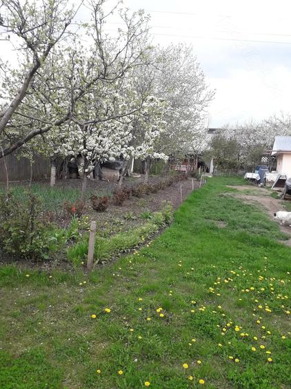 Teren de 1150 mp, în Central