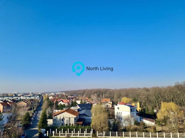 Apartament cu 3 camere semidecomandat, mobilat în Iancu Nicolae