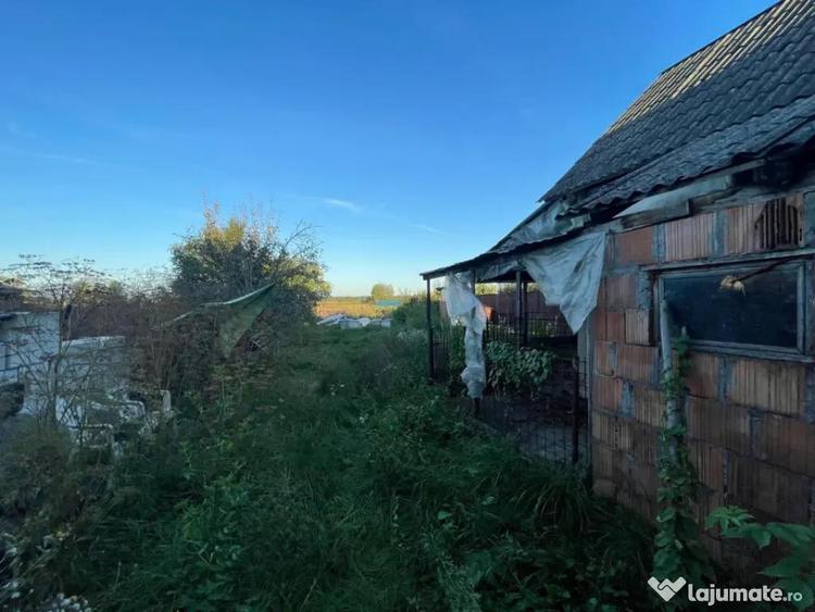 Investitie pentru liniste si oaza de verdeata - 15