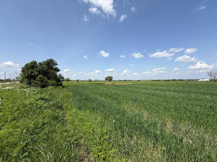 Teren Construcții intravilan de 3400 mp, în 1 Decembrie