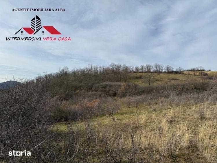 Teren de 8010 mp, în Vințu de Jos