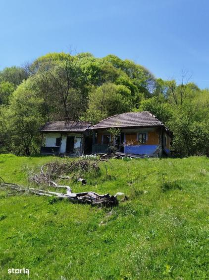 Teren de 7795 mp, în Golești