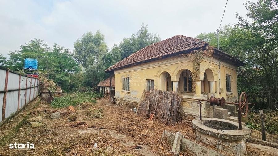 Casă cu 2 camere în Curtișoara