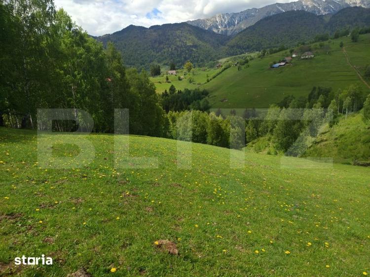 Teren de 4649 mp, în Peștera