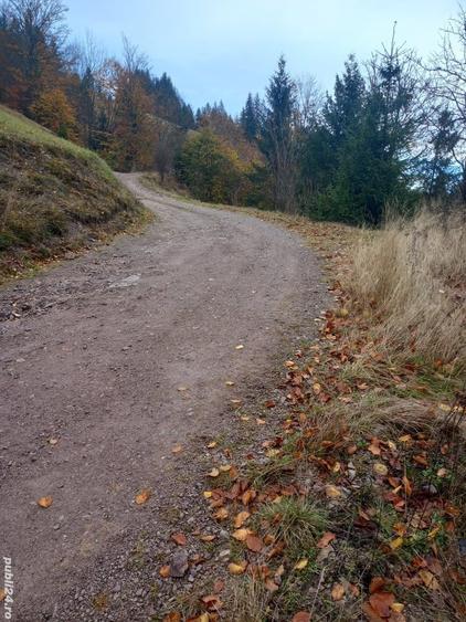 Teren de 3876 mp, în Gârda de Sus