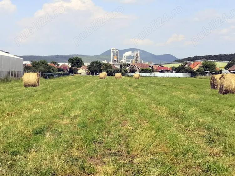 Teren de 12000 mp, în Ierbuș