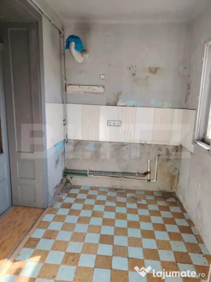 Casă cu 2 camere cu Teren 3750 Mp în Ceanu Mare