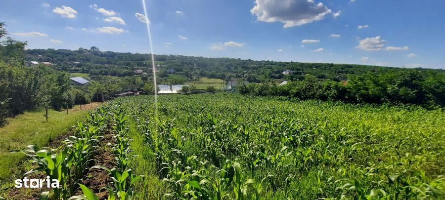 Casă cu 2 camere cu Teren 3000 Mp în Erbiceni