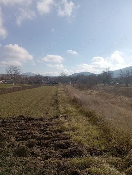 Teren de 2000 mp, în Brănișca
