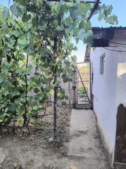 Casă individuală cu 2 camere cu Teren 1550 Mp în Radovan