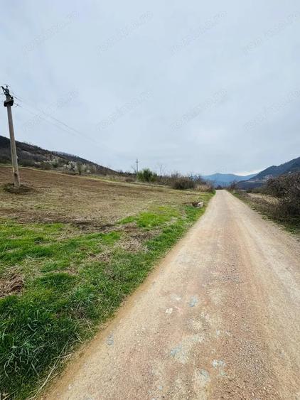 Teren de 6042 mp, în Berzasca