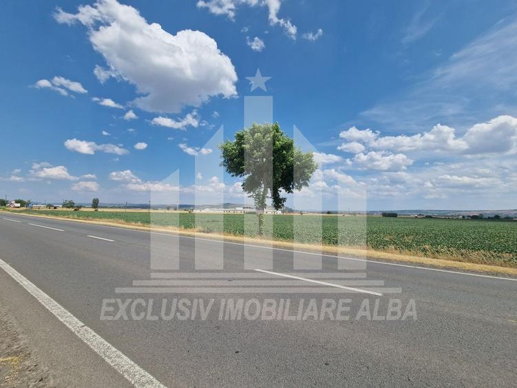 Teren agricol intravilan de 9100 mp, în Galda de Jos
