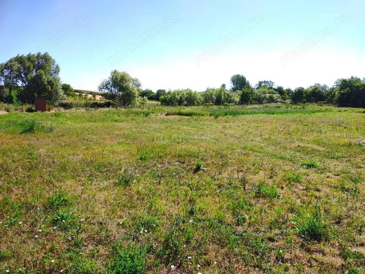 Teren de 18247 mp, în Mișca