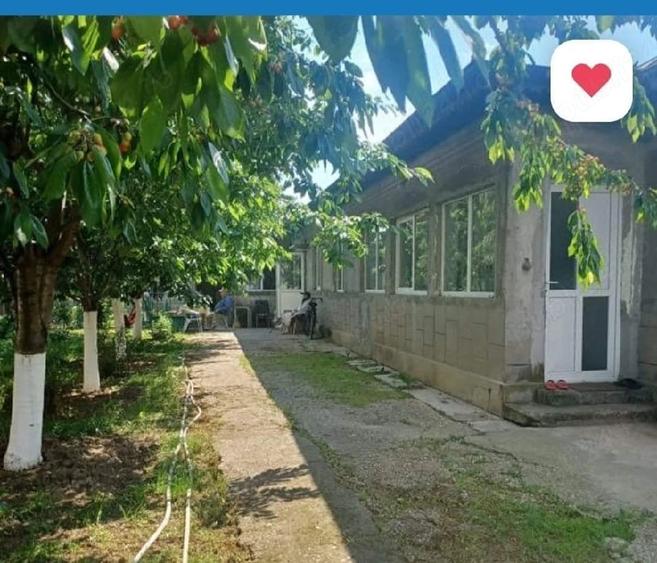 Casă cu 5 camere cu Teren 2500 Mp în Domnești