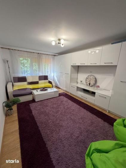 Apartament cu 2 camere decomandat în Rovine