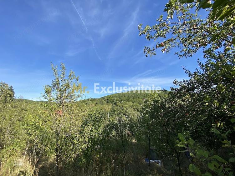 CASA + TEREN 1.002 MP | Stefanesti Valea Mare Enculescu-Arges - 7