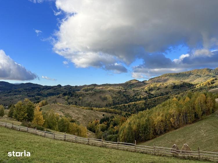 Teren intravilan 18066 mp si extravilan 4566 mp in Pestera com Moieciu - 14