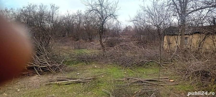 Casă în Florica