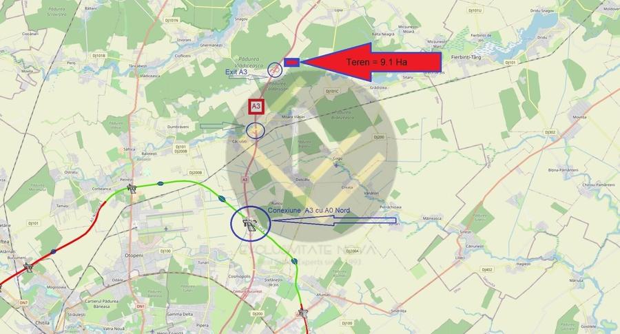 Teren Construcții intravilan de 91000 mp, în Snagov