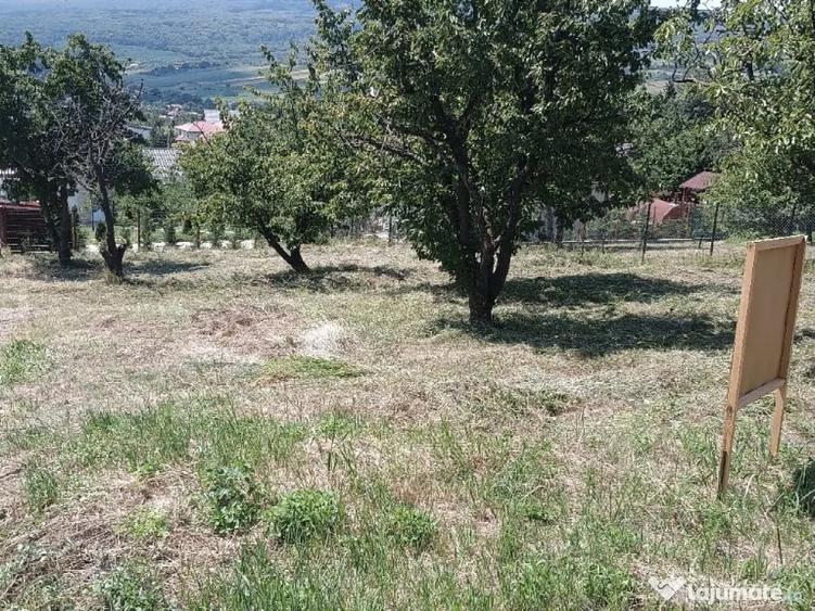 Teren de 1420 mp, în Chicerea