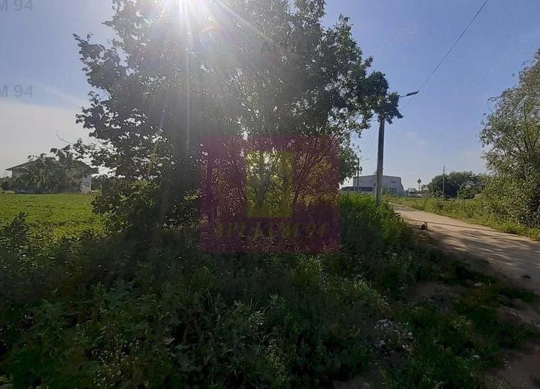 Teren de 5000 mp, în Copăceni
