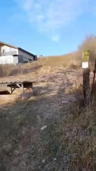 Teren de 2200 mp, în Criș