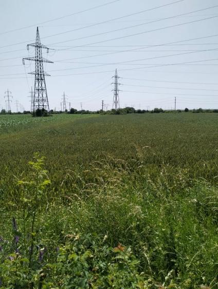 Teren agricol extravilan de 7360 mp, în Oarja