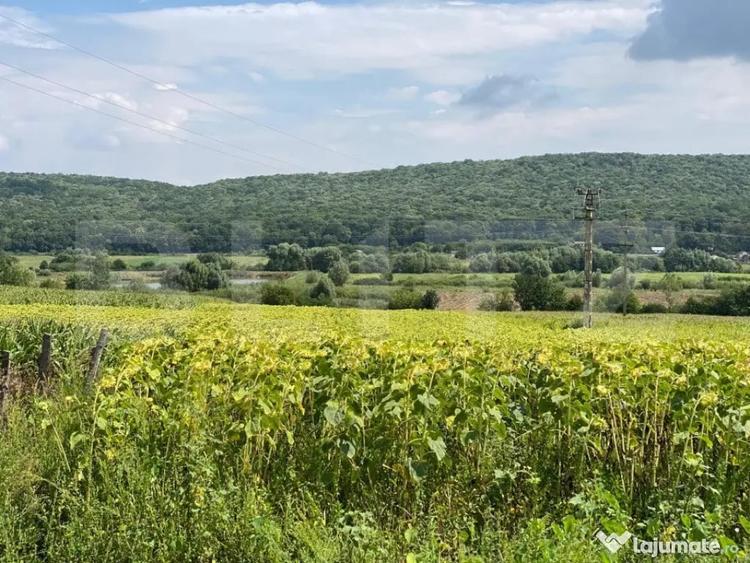 Casă cu 4 camere cu Teren 6600 Mp în Schitu Duca
