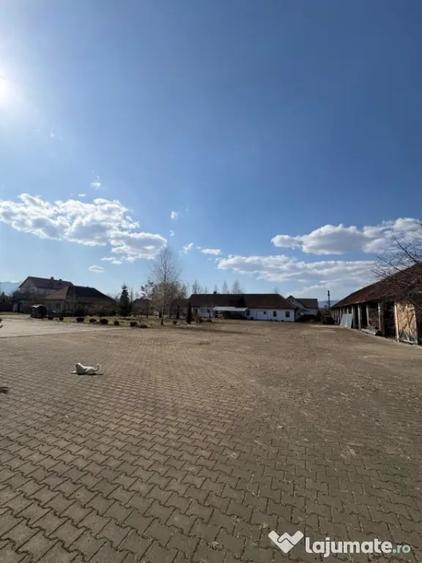 Teren în Ocna Șugatag