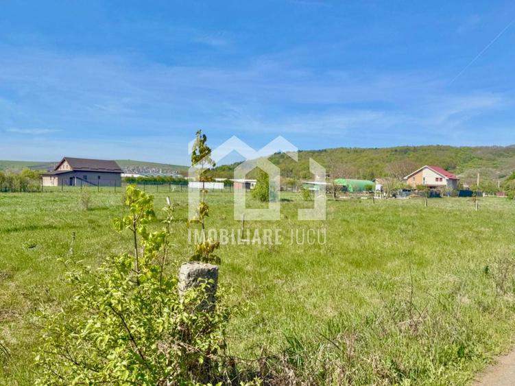 Teren Construcții intravilan de 925 mp, în Jucu de Mijloc