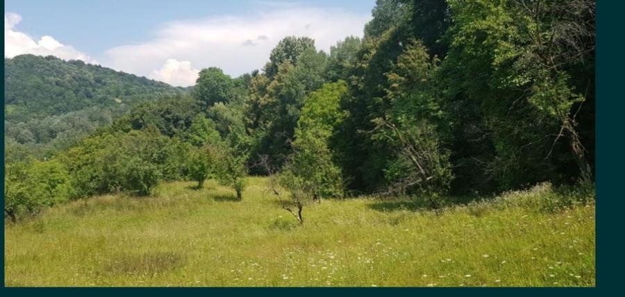 Teren Construcții intravilan de 17000 mp, în Doftana