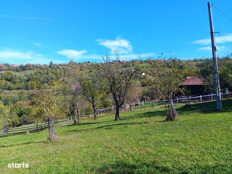 Spațiu comercial, în Bran