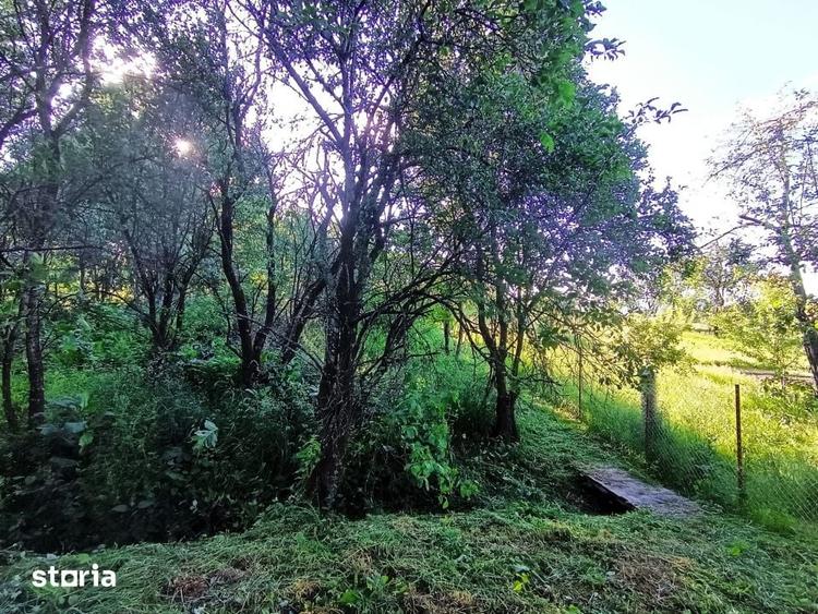 Teren de 1340 mp, în Gheorghieni