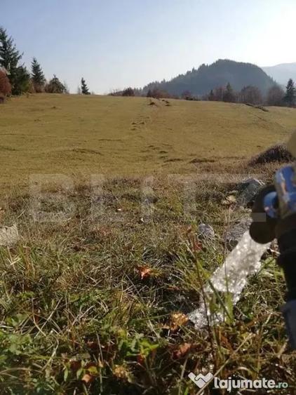 Teren de 2050 mp, în Scărișoara