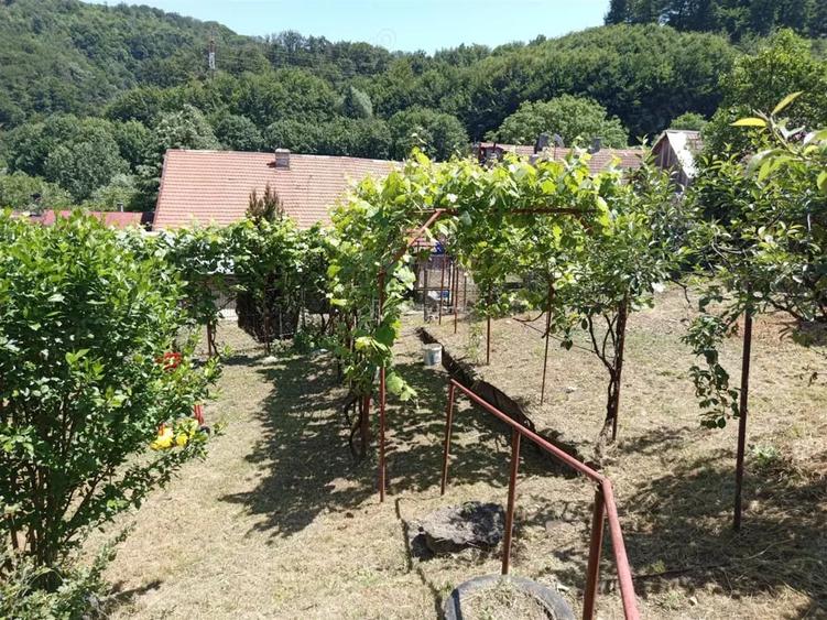 Casă cu Teren 1803 Mp în Anina