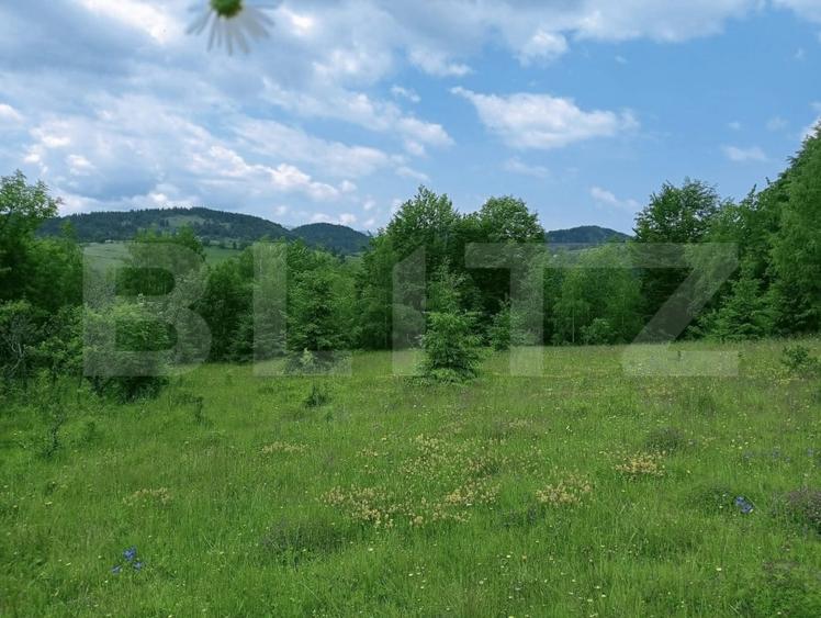 Teren Construcții intravilan de 30121 mp, în Scărișoara