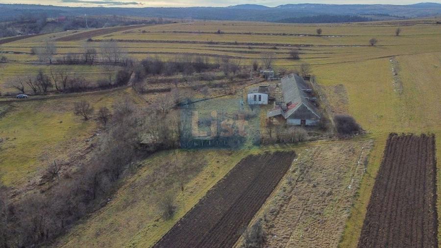 Teren Construcții intravilan de 7400 mp, în Păniceni