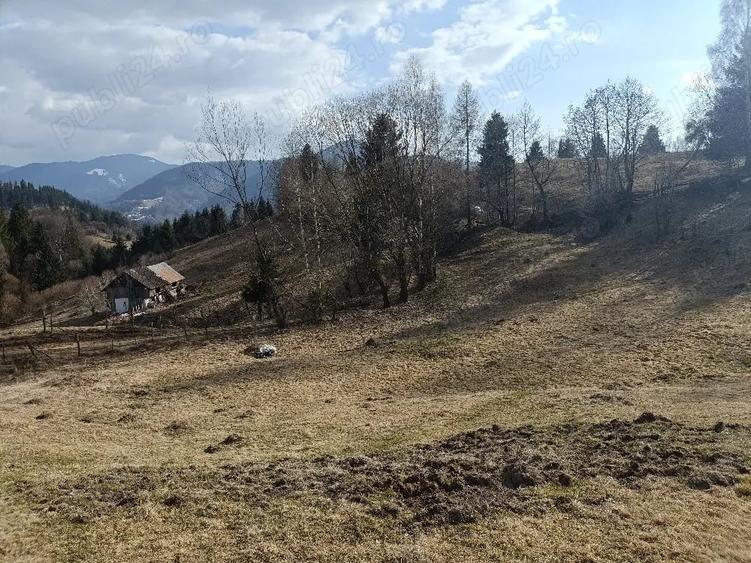 Teren de 3200 mp, în Dâmbovicioara