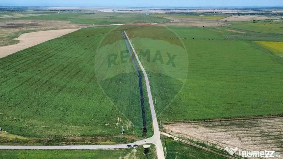 Ferma vegetala 148 ha ?i sediu ferma Maicanesti ! - 2