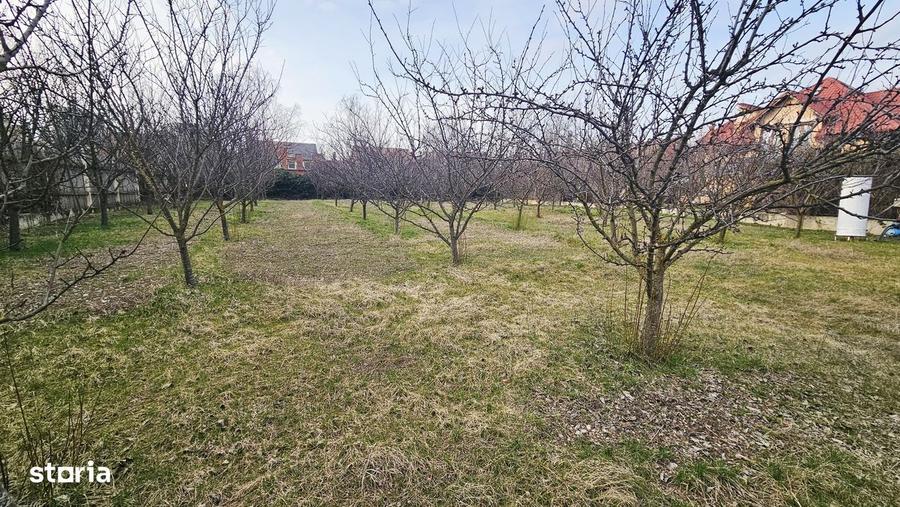 Teren ideal resedinta in Iancu Nicolae - Pipera | 1000 mp | Utilitati - 3