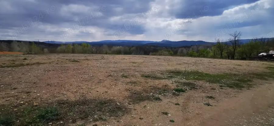 Teren de 26500 mp, în Calea Caransebeșului