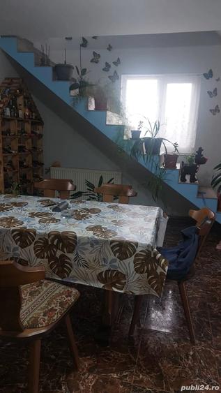 Casă cu Teren 690 Mp în Topolovățu Mare