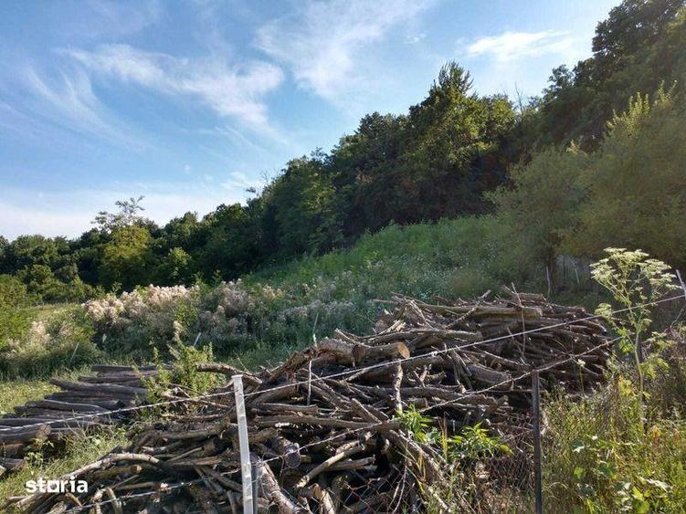 Teren de 300000 mp, în Roșia de Amaradia