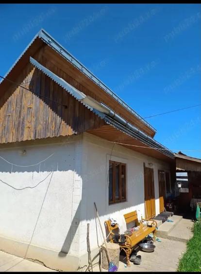 Teren de 250000 mp, în Cristești