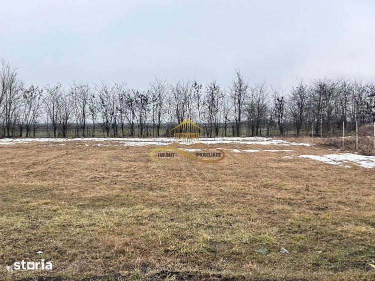 Teren de vanzare Siretu Saucesti Bacau - 2
