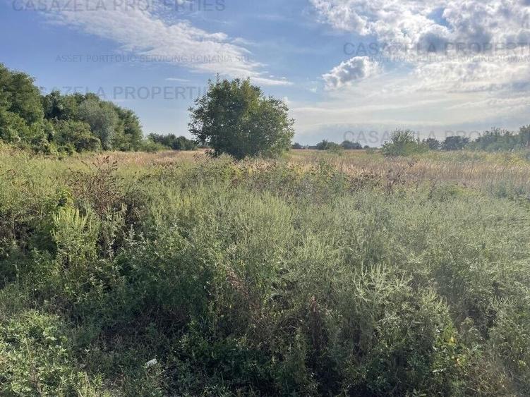 Teren agricol extravilan de 5078 mp, în Stoenești