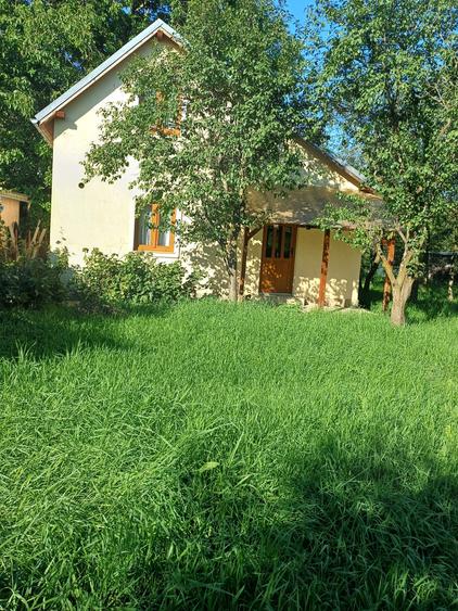 Casă individuală cu 3 camere cu Teren 1576 Mp în Vechea