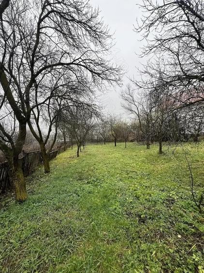 Casă cu 3 camere cu Teren 1114 Mp în Vechea