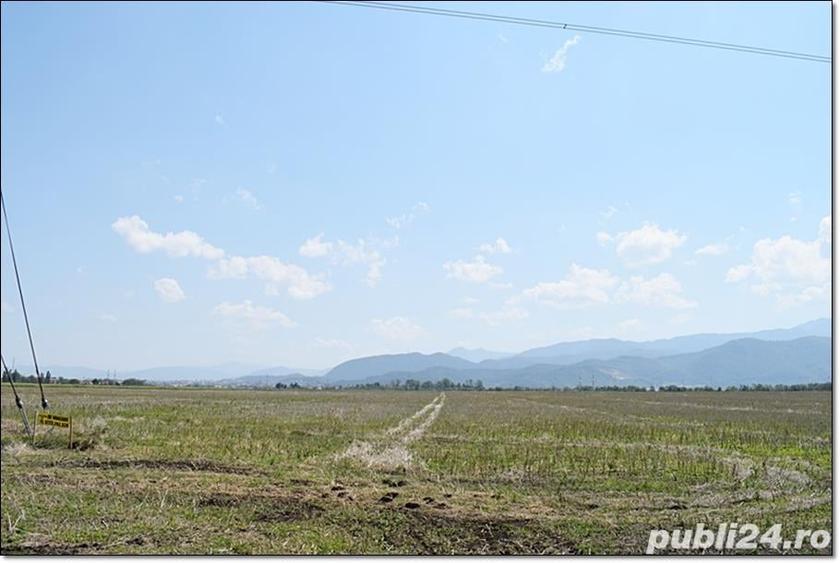 Teren de 70000 mp, în Central